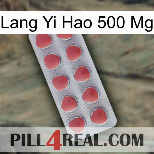 Lang Yi Hao 500 Mg 18.jpg